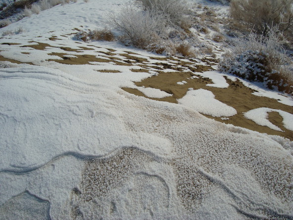 dsc07243_СС.jpg