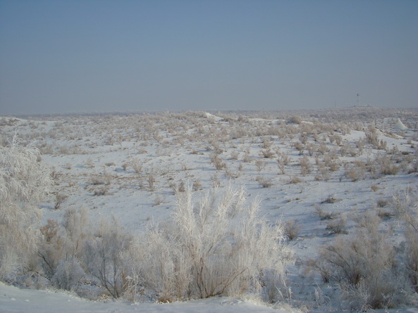 dsc07271_СС.jpg