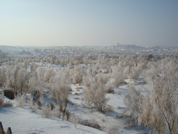dsc07249_СС.jpg