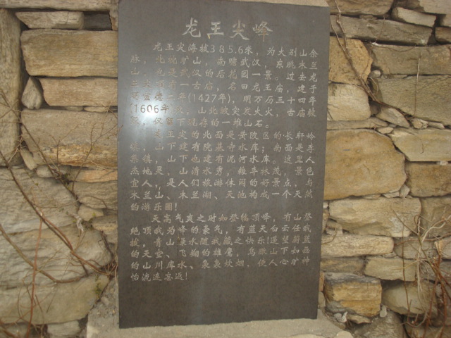 dsc09568.jpg