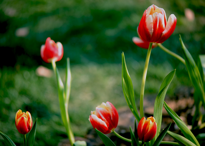 dsc_5023a.jpg