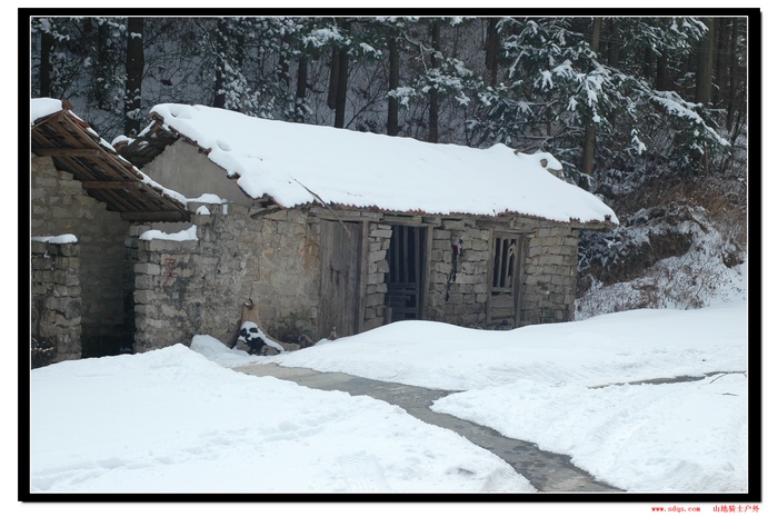 dsc_1013.jpg