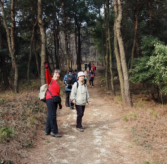 dscf9065.jpg