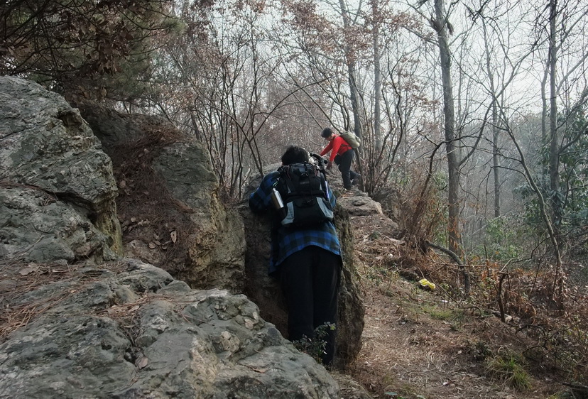 dscf9068.jpg