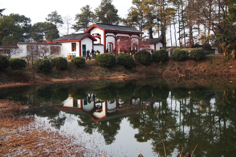 k1045915.jpg
