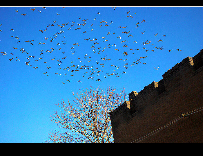 dsc_0162.jpg