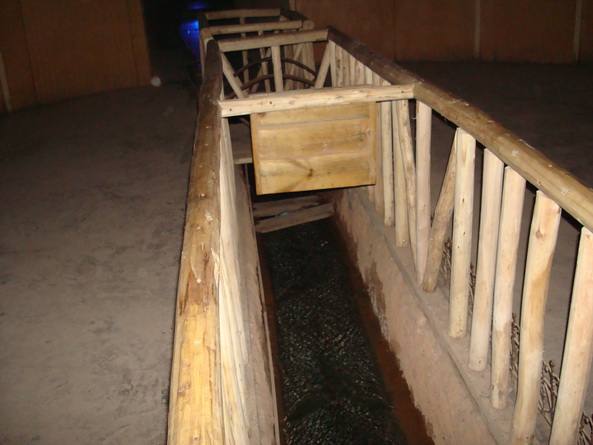 dsc07342_СС.jpg