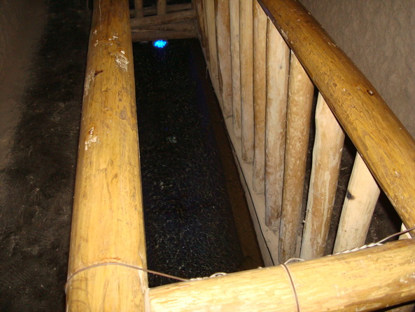 dsc07340_СС.jpg