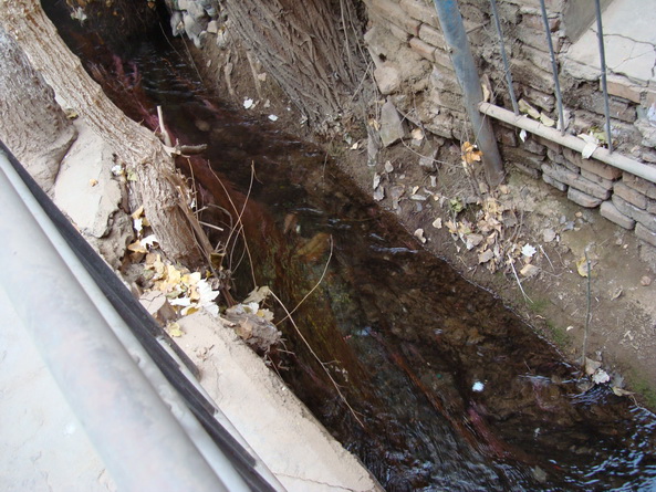 dsc07347_СС.jpg