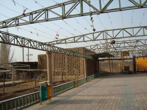 dsc07360_СС.jpg