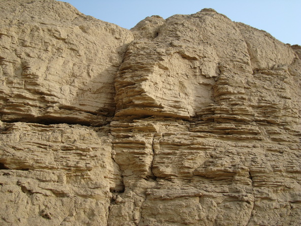 dsc07376_СС.jpg