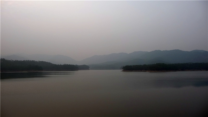 p1050155_.jpg