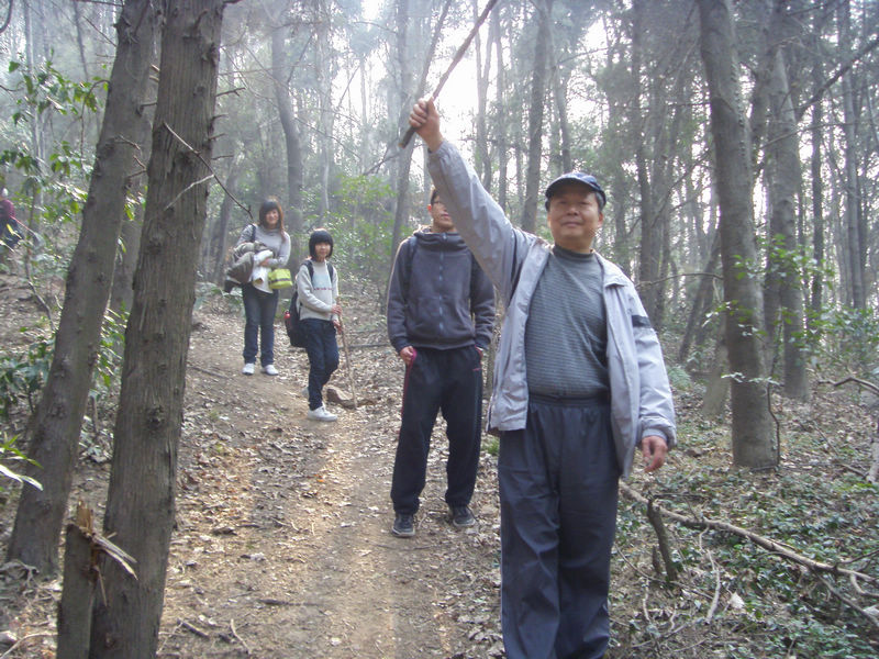 s73f1409.jpg