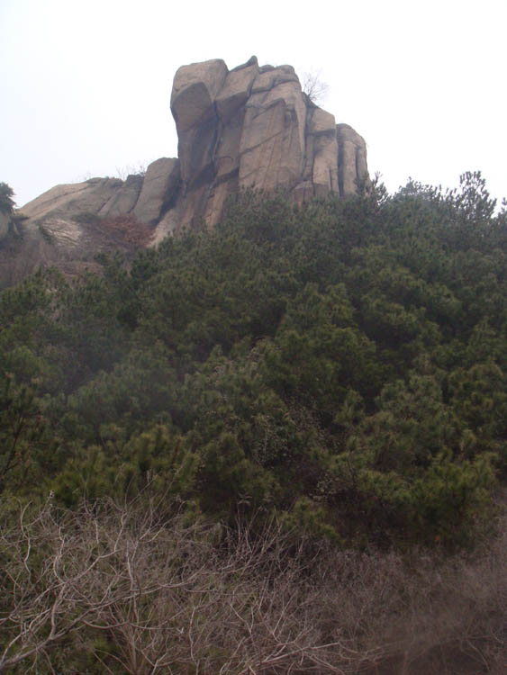 dsc03344.jpg