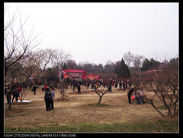 2011-2-5÷԰ 006.jpg