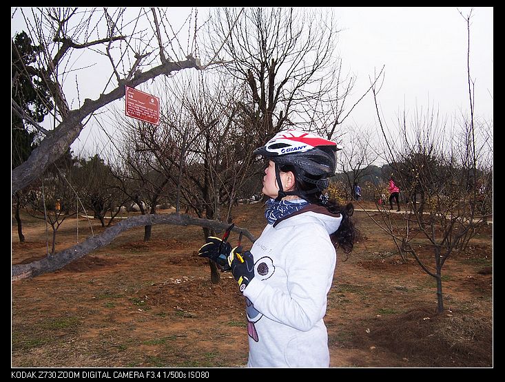 2011-2-5÷԰ 005.jpg
