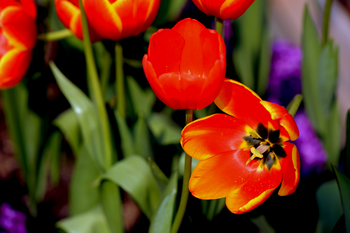 dsc_5055a.jpg