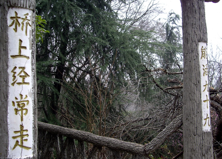 imgp3676.jpg