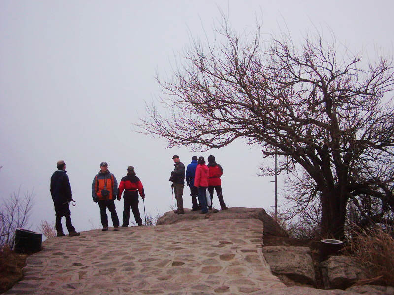 dsci0164.jpg
