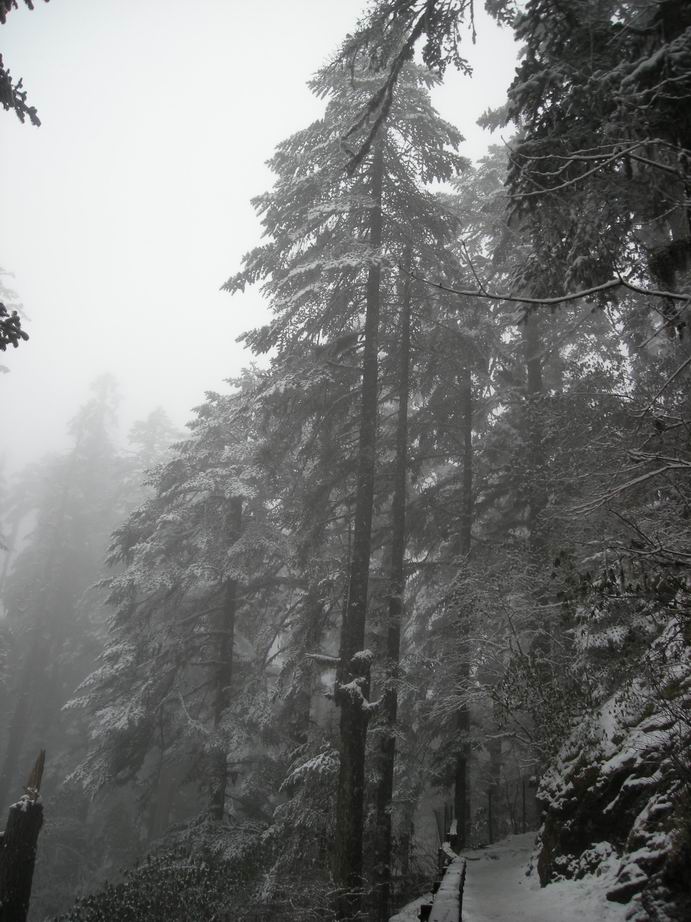 dscn3211.jpg