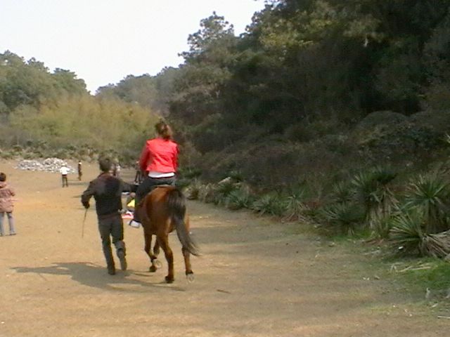 imga0662.jpg