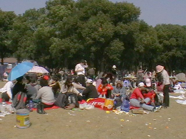 imga0601.jpg