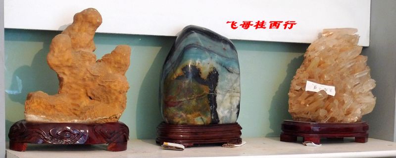 p1010812.jpg