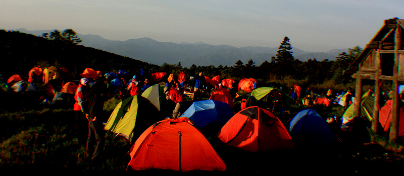 2010768565369564.jpg