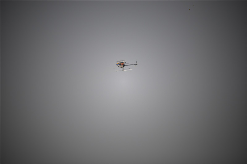 dsc_0389_.jpg