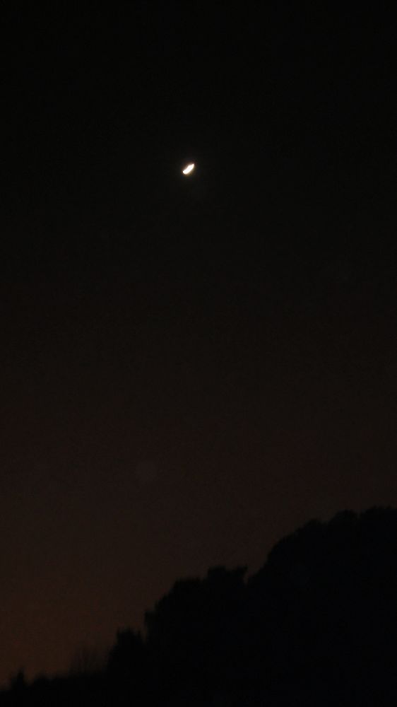 neo_img_dsc02003.jpg