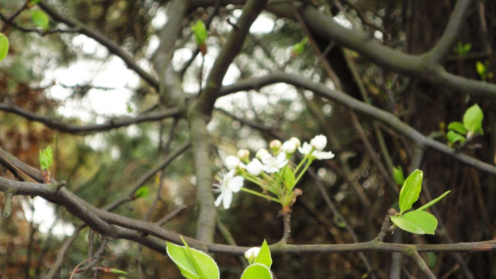 neo_img_dsc02024.jpg