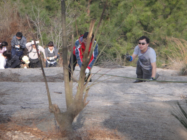 dsc04078.jpg