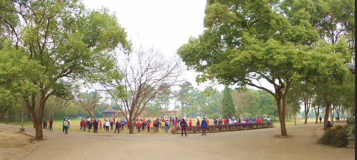 dsc04594.jpg