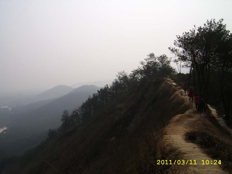 ssa40019.jpg