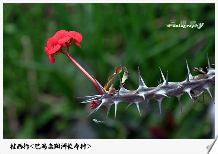 dsc_4898.jpg