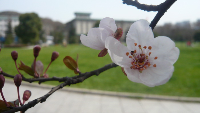 p1100409.jpg