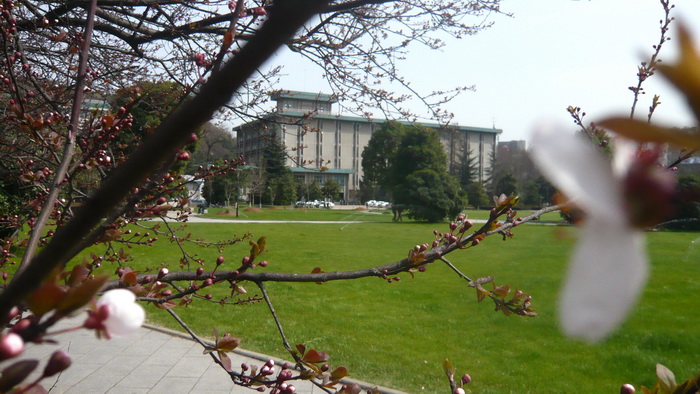 p1100415.jpg