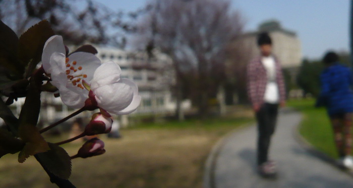 p1100495.jpg