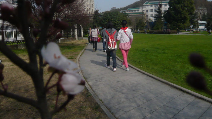 p1100488.jpg