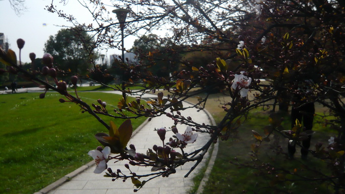 p1100484.jpg