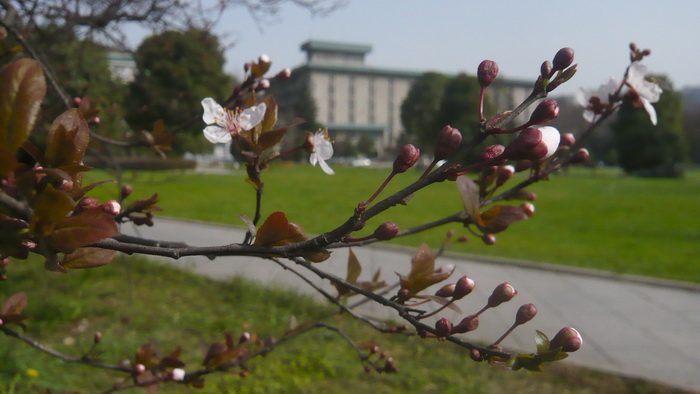 p1100472.jpg