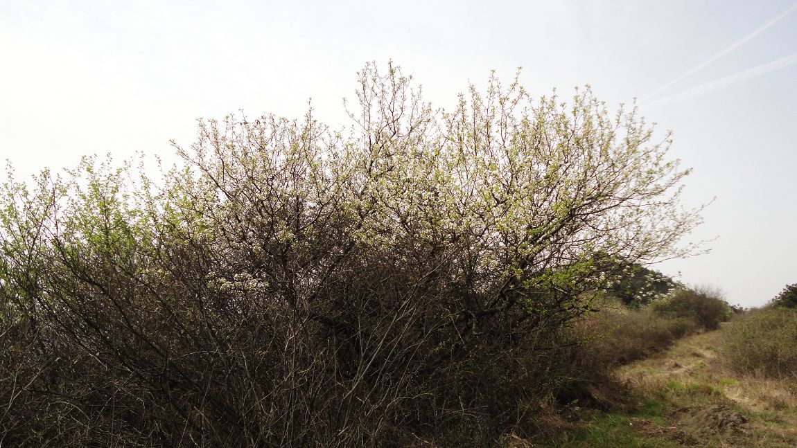 neo_img_dsc02239.jpg