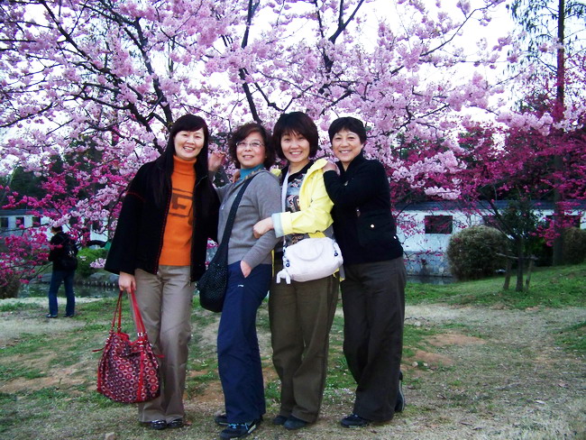 100_9490.jpg