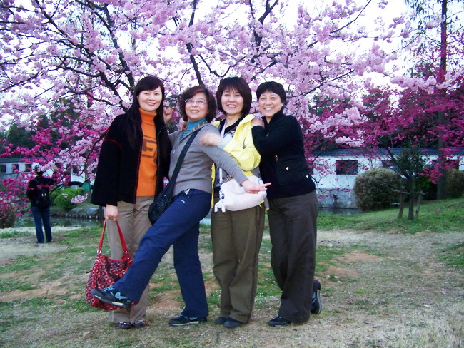 100_9491.jpg