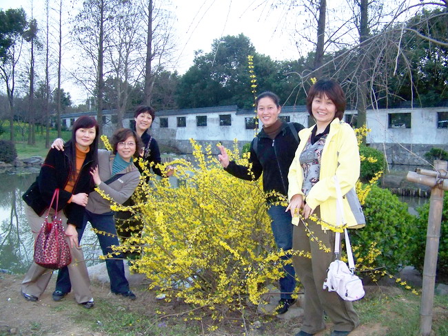 100_9498.jpg