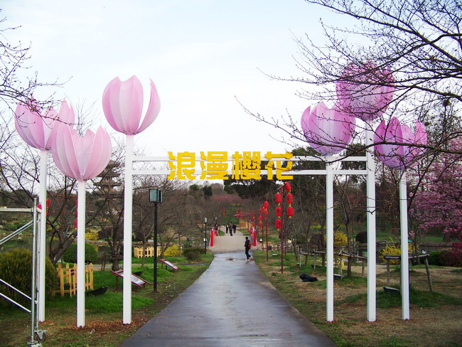 100_9473.jpg