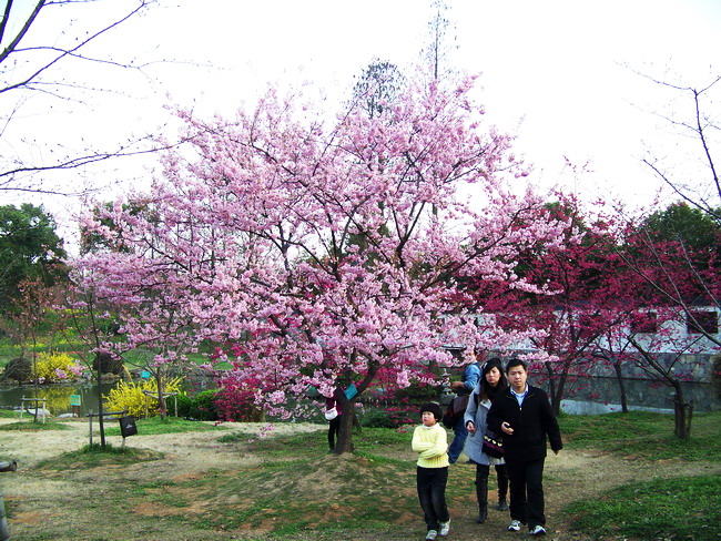 100_9474.jpg