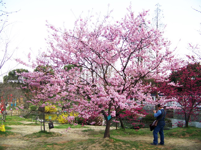 100_9477.jpg