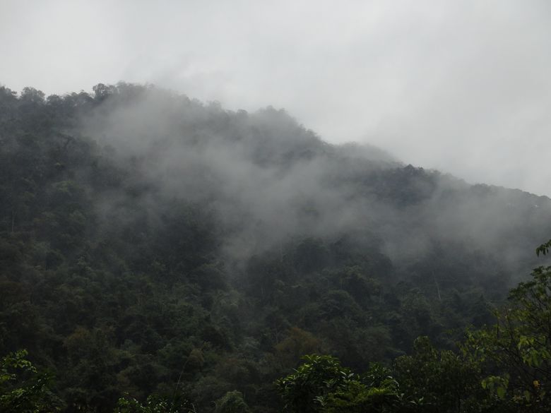 dsc03038.jpg