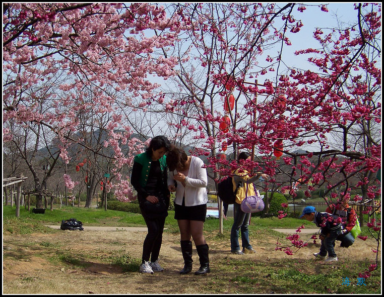 20110317mӣ԰ӣ (22).jpg